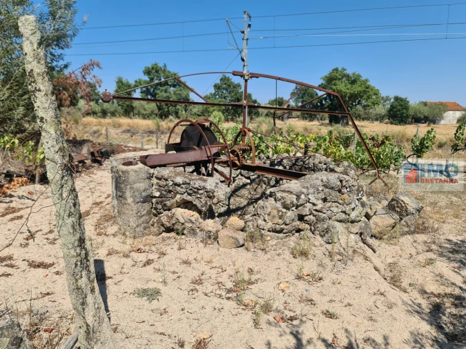 Quinta T0 para Venda em Lardosa Foto 3