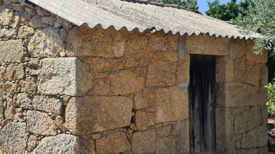 Quinta T0 para Venda em Lardosa