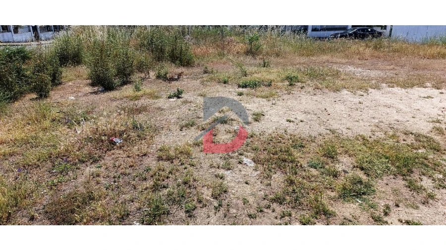 Terreno para Venda em Castelo Branco Foto 3