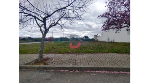 Terreno para Venda em Lardosa