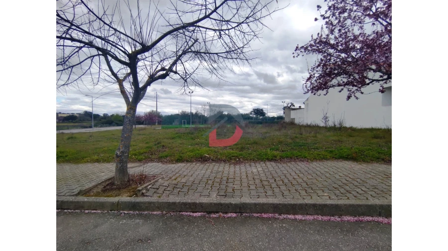 Terreno para Venda em Lardosa Foto 3