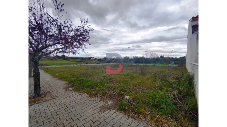 Terreno para Venda em Lardosa Foto 2
