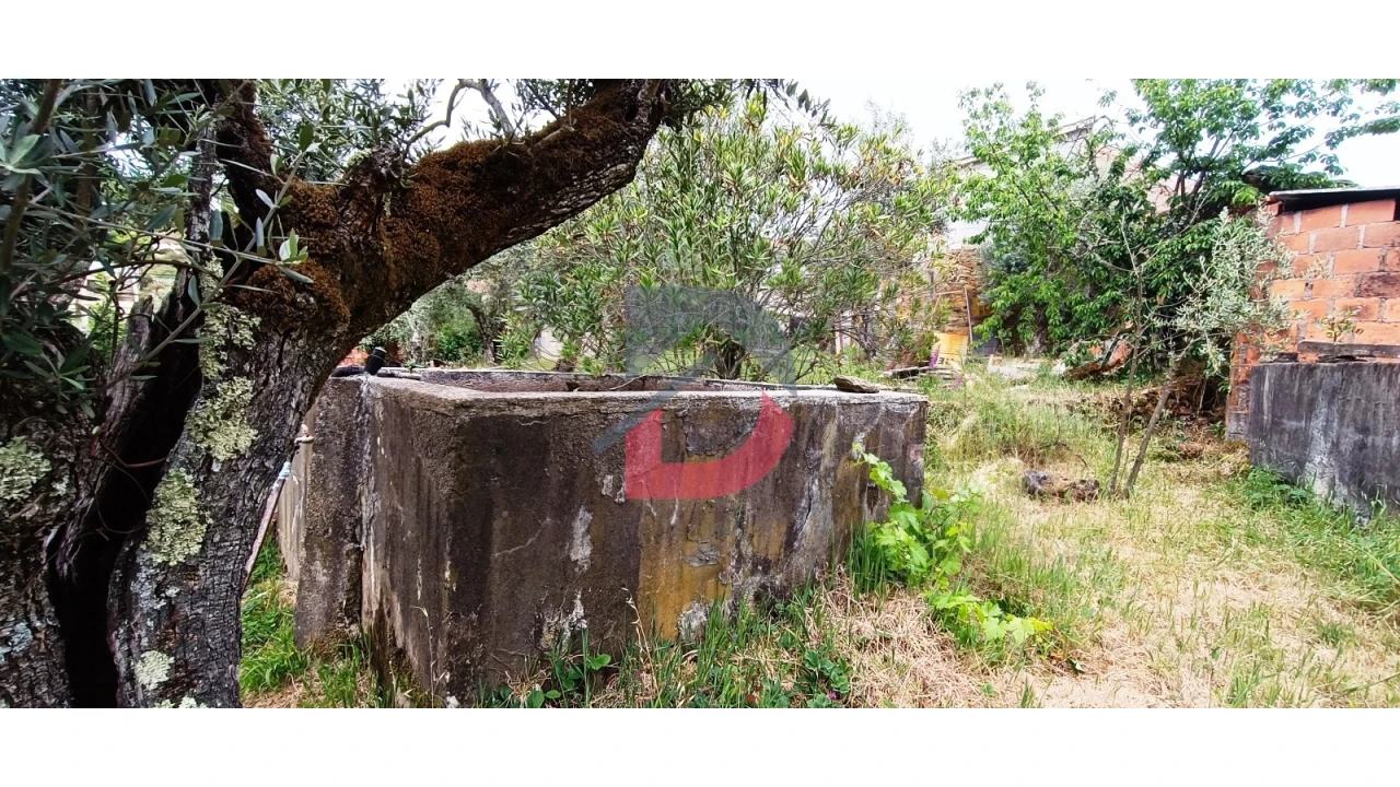 Terreno Agricola ou Rústico para Venda em Bogas de Cima Foto 11
