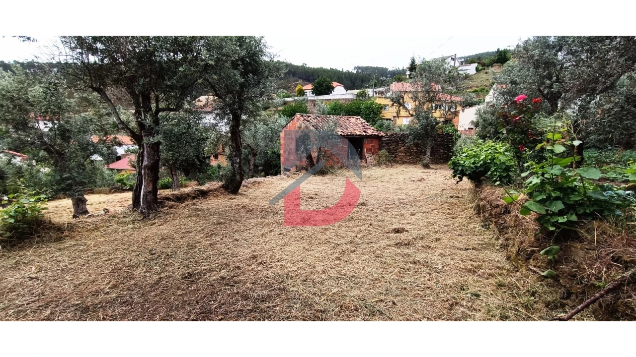 Terreno Agricola ou Rústico para Venda em Bogas de Cima Foto 9