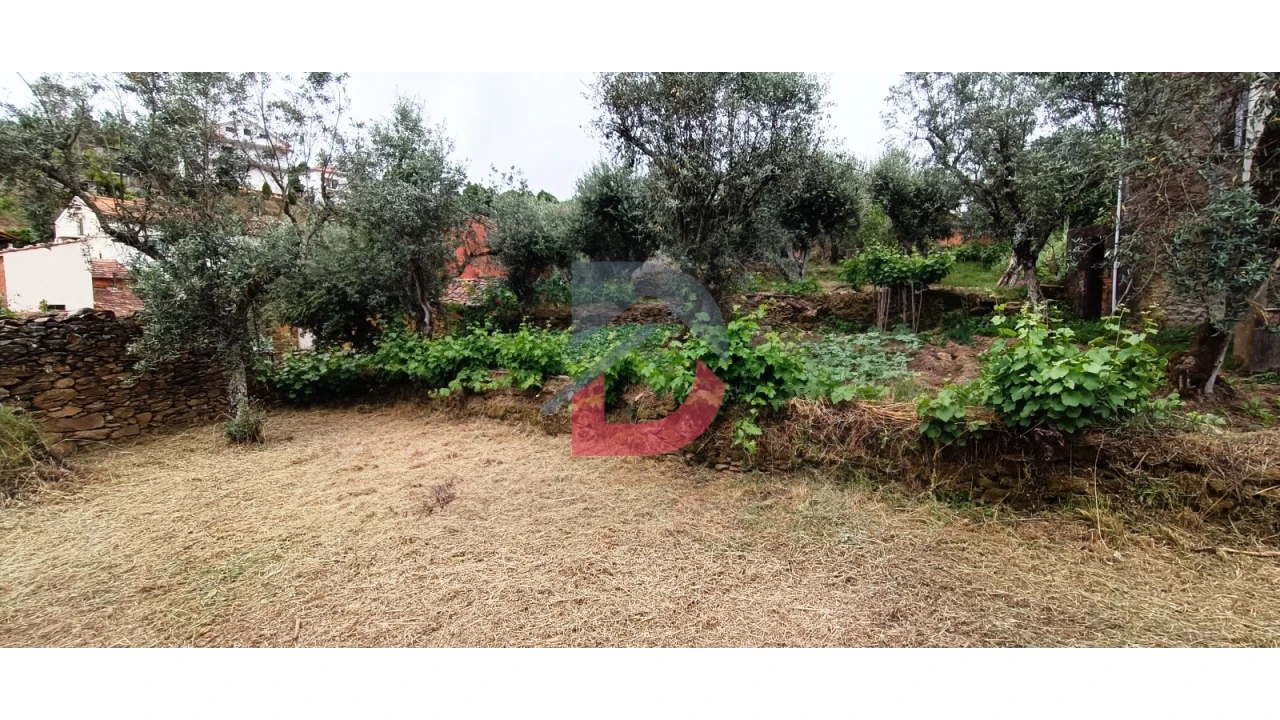 Terreno Agricola ou Rústico para Venda em Bogas de Cima Foto 6