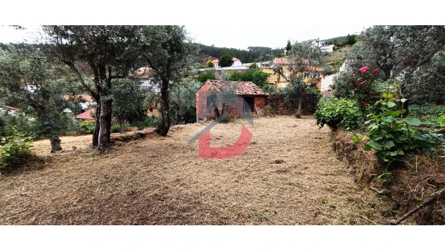 Terreno Agricola ou Rústico para Venda em Bogas de Cima Foto 9