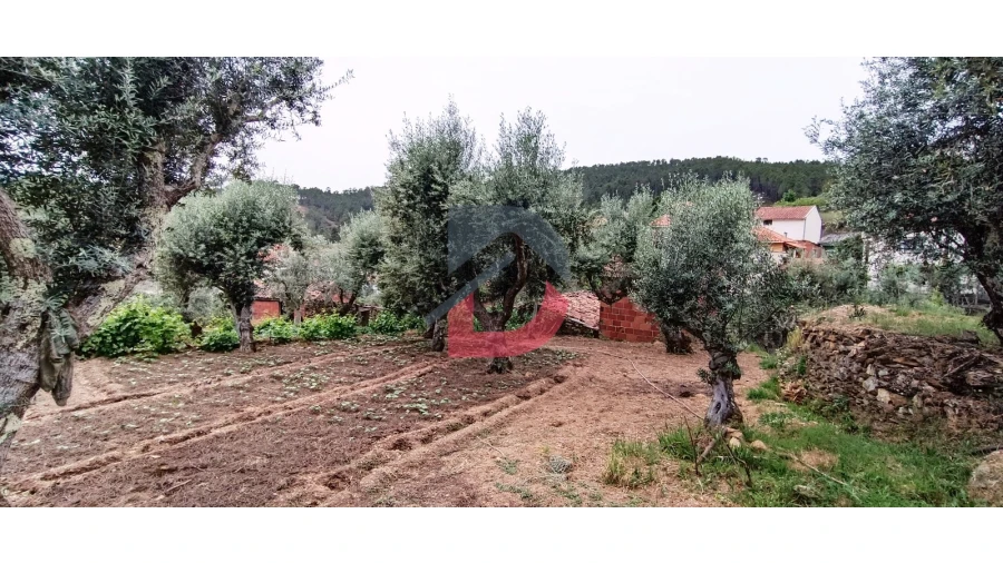 Terreno Agricola ou Rústico para Venda em Bogas de Cima Foto 14