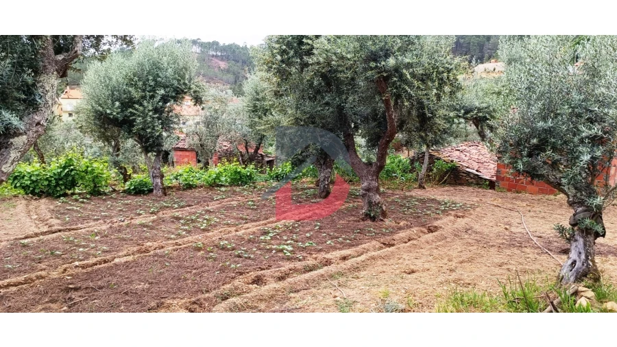 Terreno Agricola ou Rústico para Venda em Bogas de Cima Foto 13