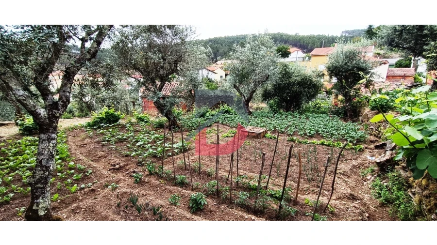 Terreno Agricola ou Rústico para Venda em Bogas de Cima Foto 12