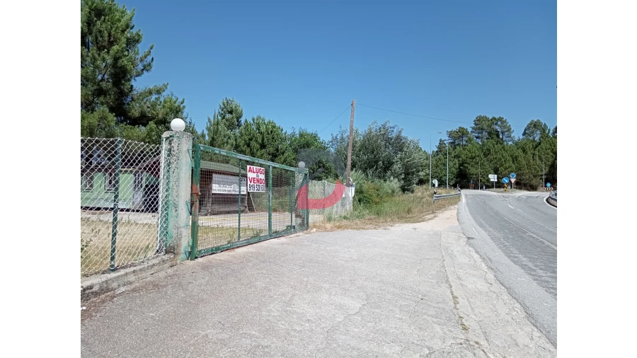 Terreno para Venda em Castro Daire Foto 13