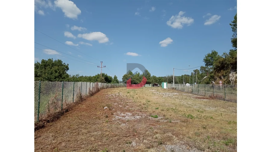 Terreno para Venda em Castro Daire Foto 8