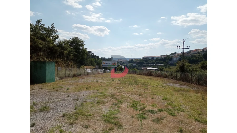Terreno para Venda em Castro Daire Foto 5