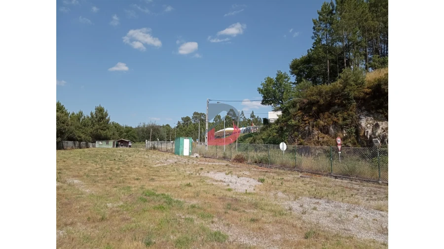 Terreno para Venda em Castro Daire Foto 6