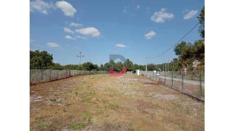 Terreno para Venda em Castro Daire Foto 7