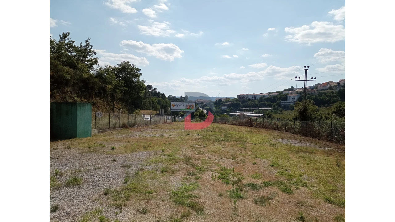Terreno para Venda em Castro Daire Foto 5