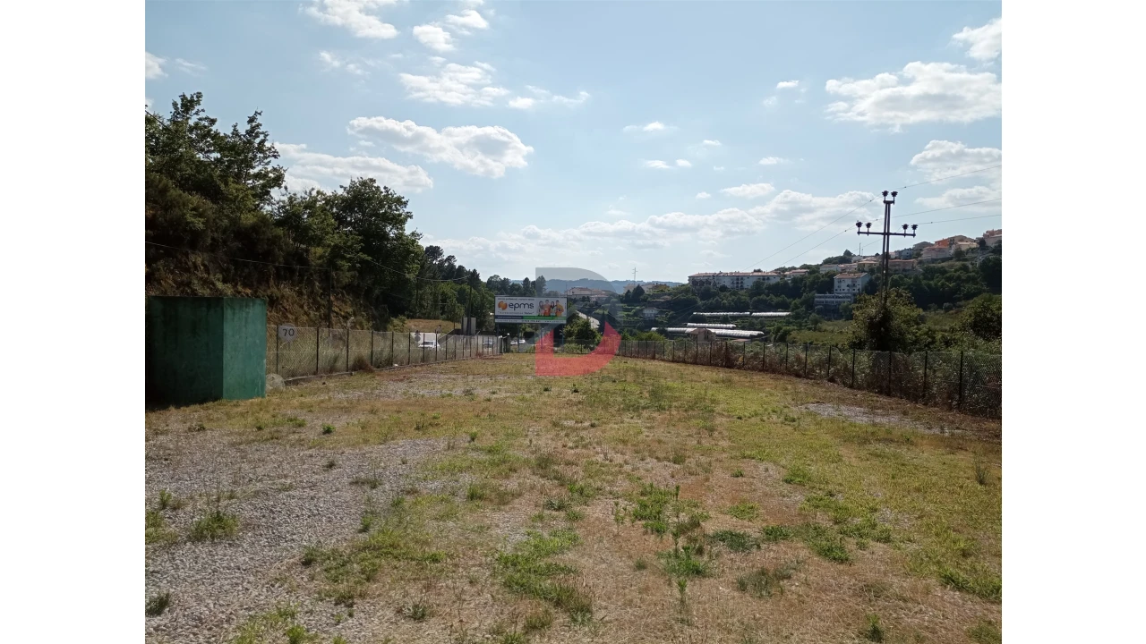 Terreno para Arrendamento em Castro Daire Foto 4