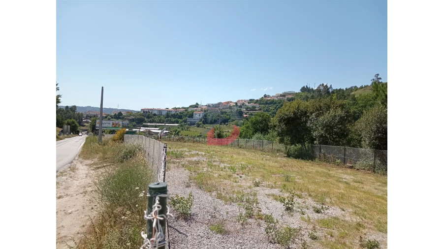 Terreno para Arrendamento em Castro Daire Foto 12