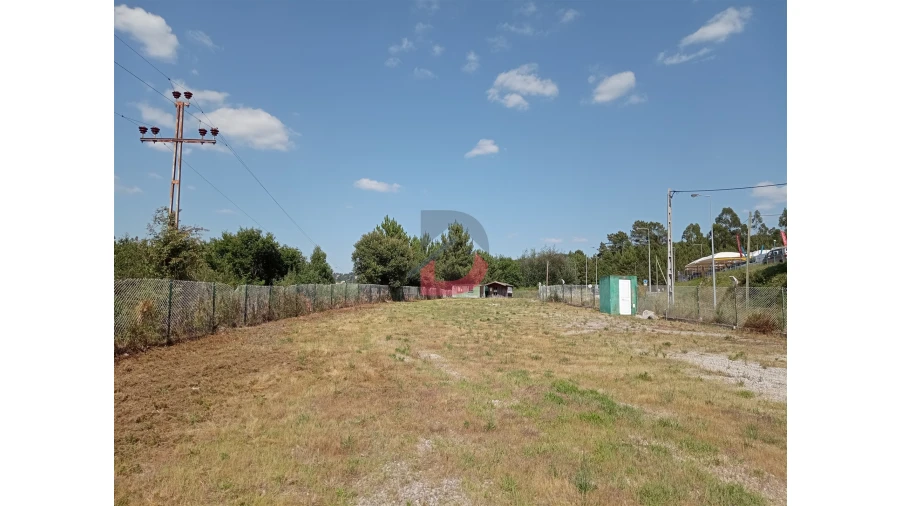 Terreno para Arrendamento em Castro Daire Foto 5