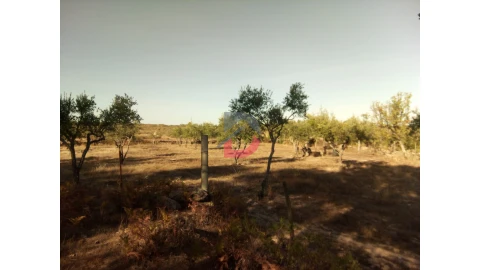 Terreno para Venda em Alcains