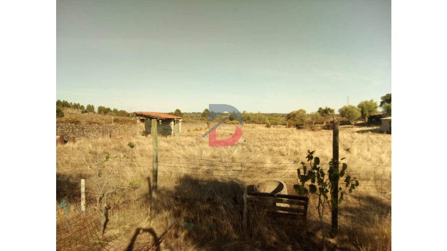 Terreno para Venda em Alcains Foto 5