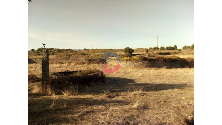 Terreno para Venda em Alcains Foto 2