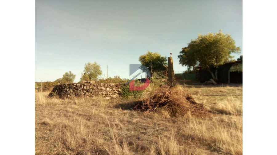 Terreno para Venda em Alcains Foto 3