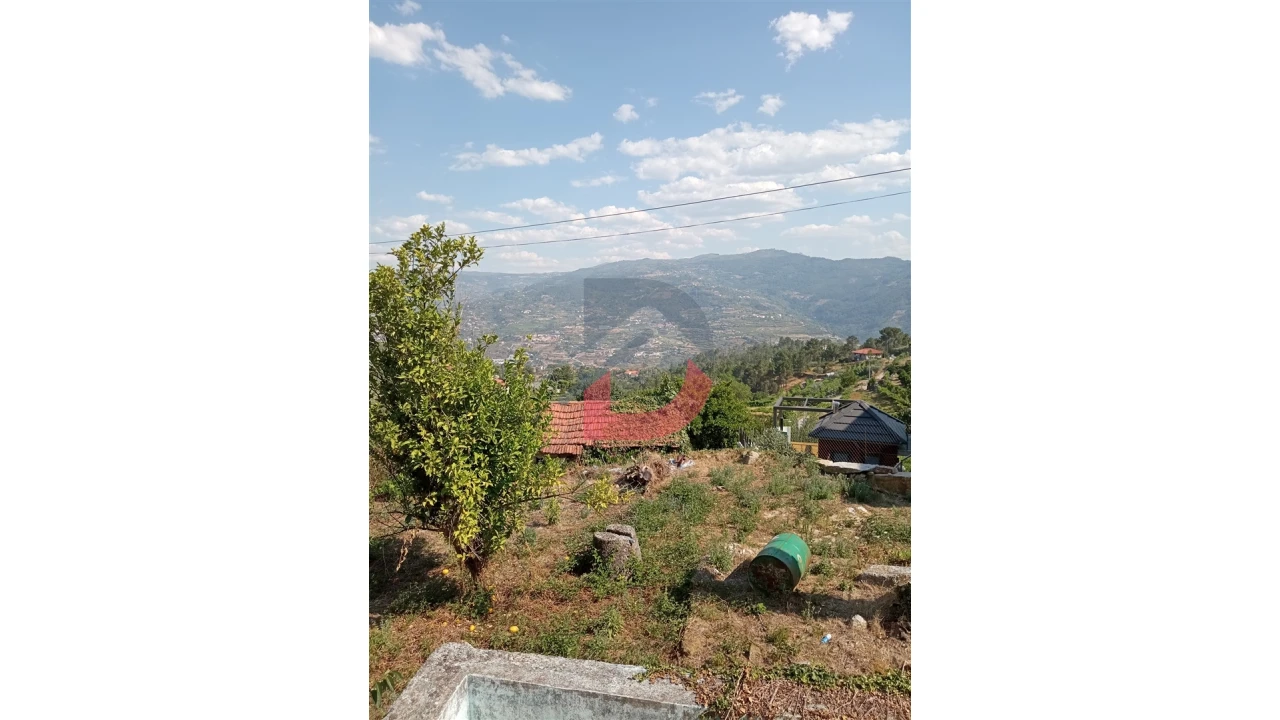 Terreno para Venda em Santa Cruz do Douro e São Tomé de Covelas Foto 4