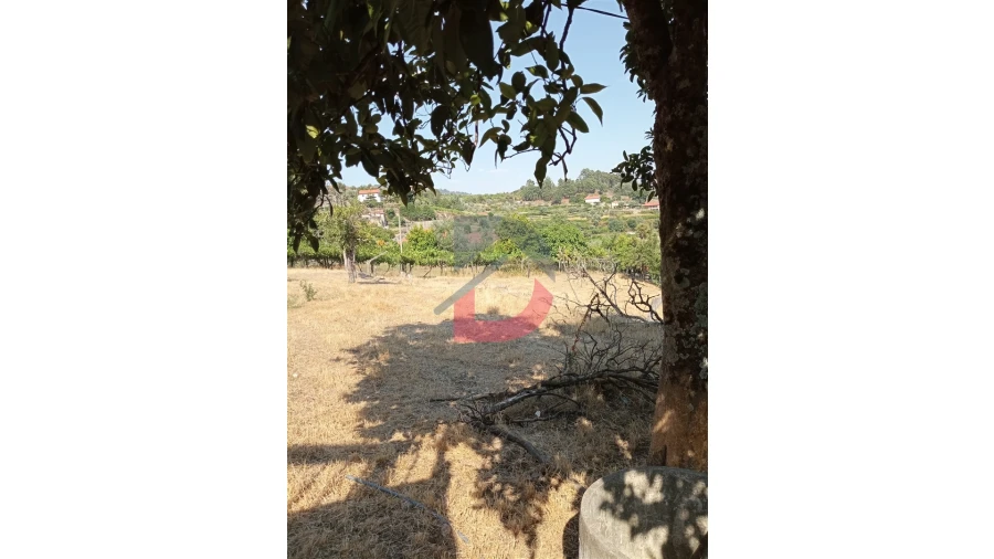 Terreno para Venda em Santa Cruz do Douro e São Tomé de Covelas Foto 8
