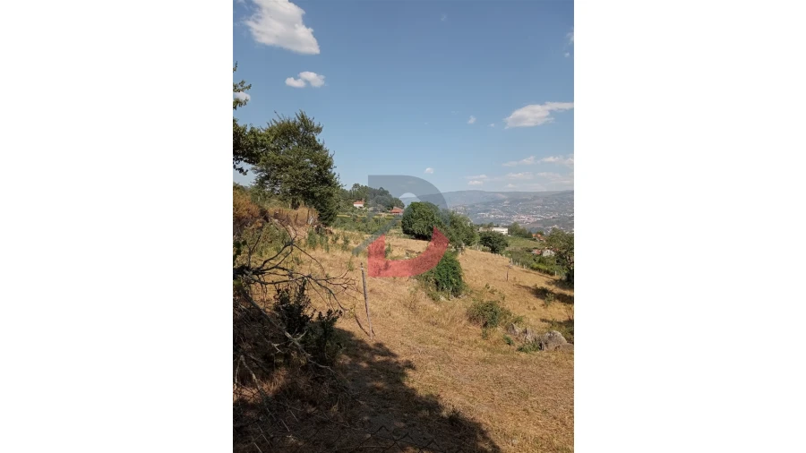Terreno para Venda em Santa Cruz do Douro e São Tomé de Covelas Foto 1
