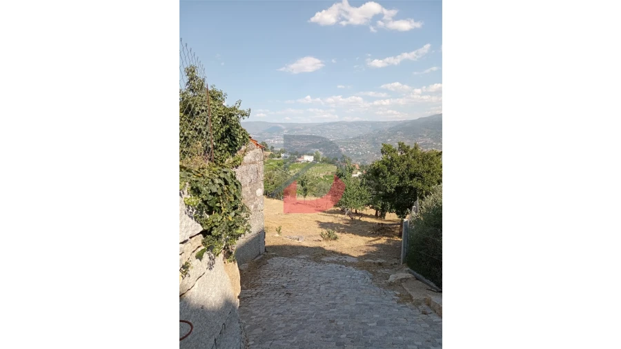 Terreno para Venda em Santa Cruz do Douro e São Tomé de Covelas Foto 2