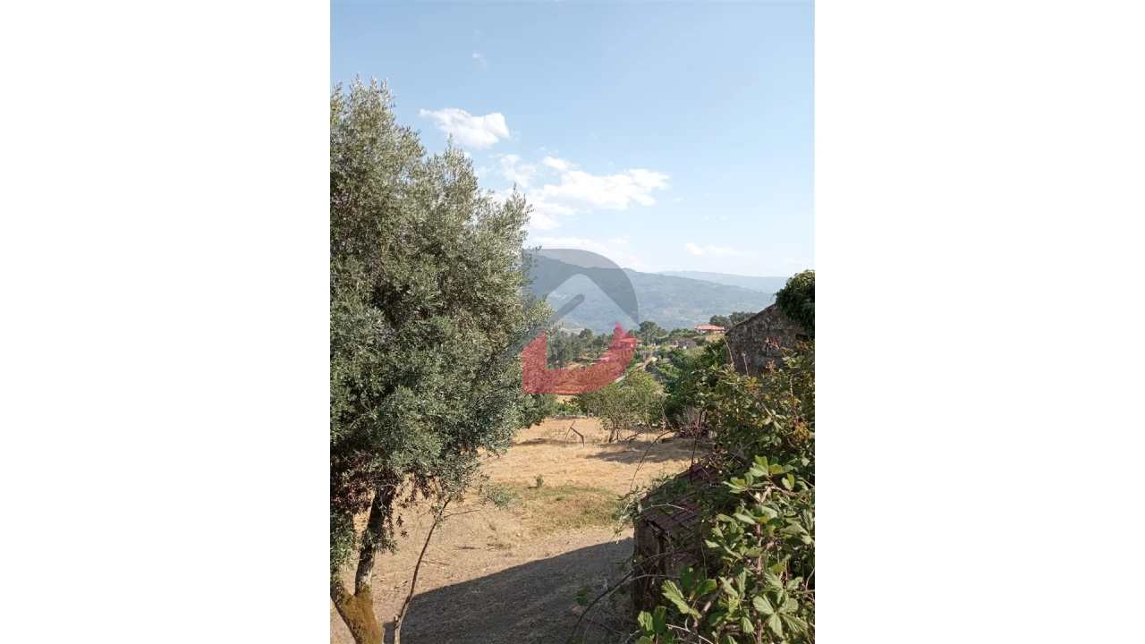 Terreno para Venda em Santa Cruz do Douro e São Tomé de Covelas Foto 11