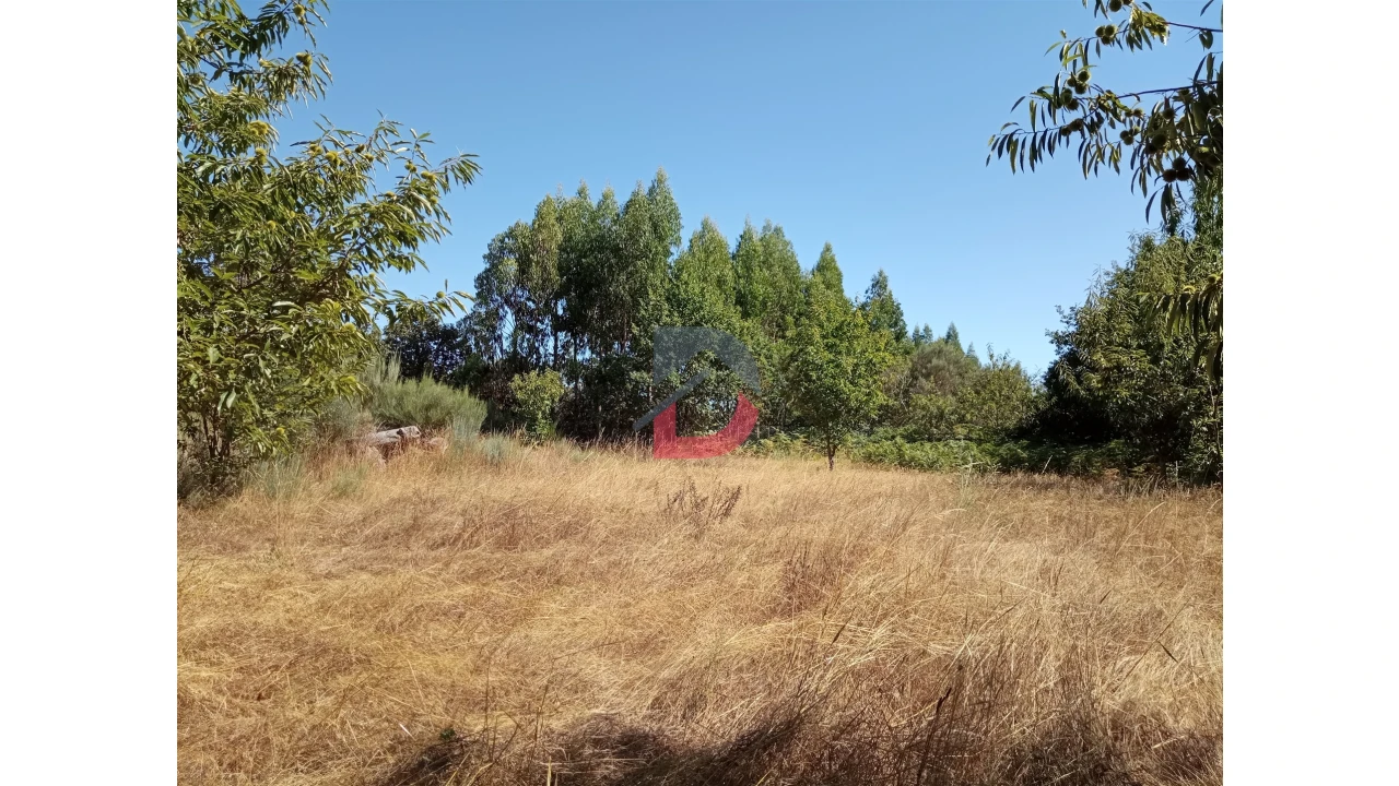 Terreno para Venda em Ferreira de Aves Foto 11