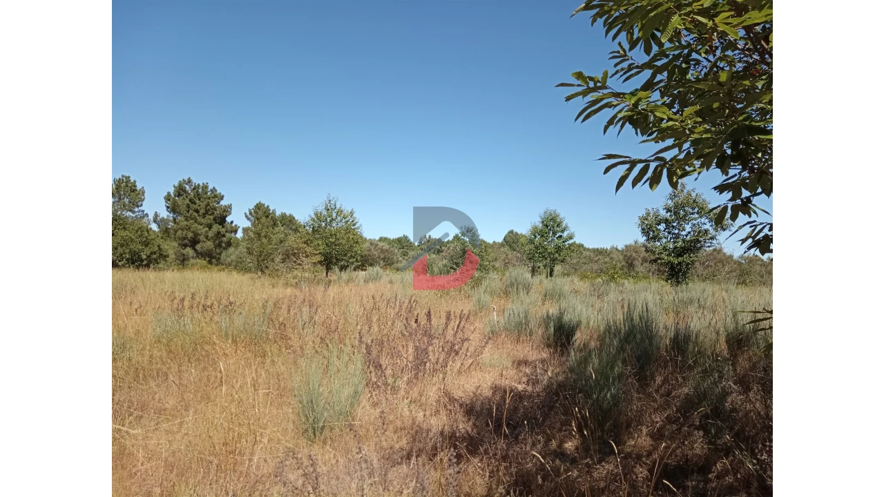 Terreno para Venda em Ferreira de Aves Foto 12