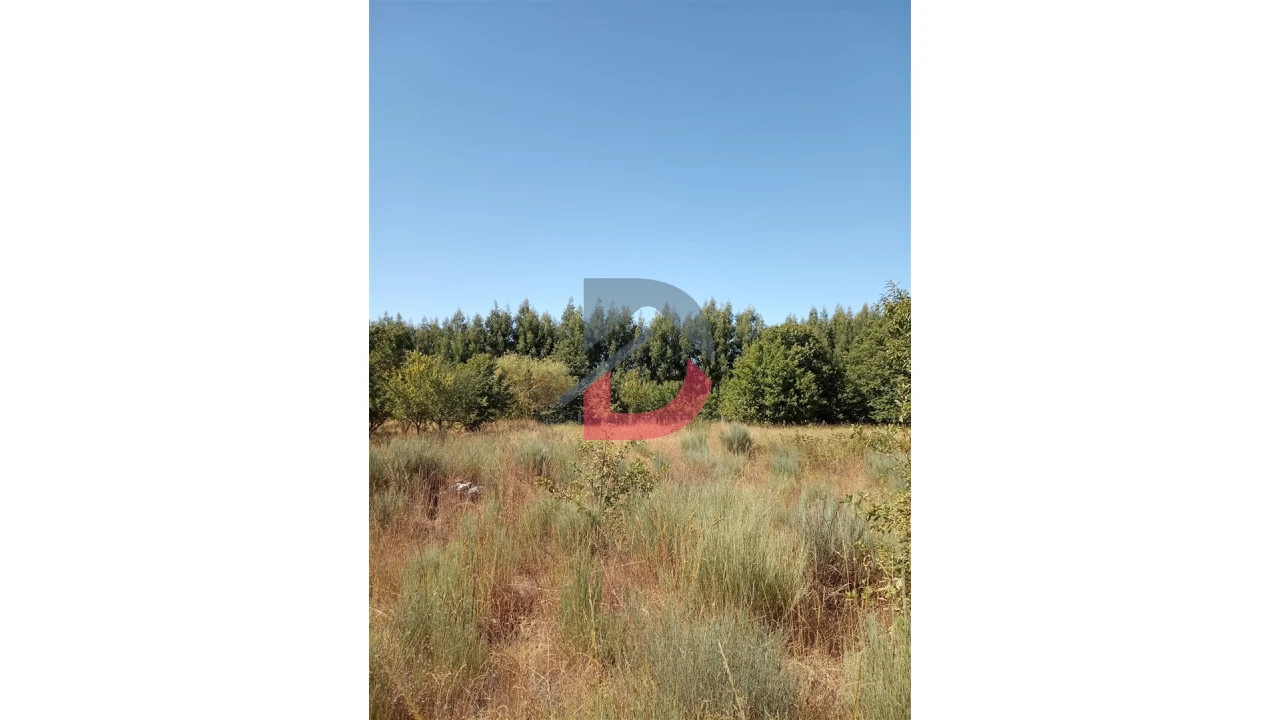 Terreno para Venda em Ferreira de Aves Foto 13