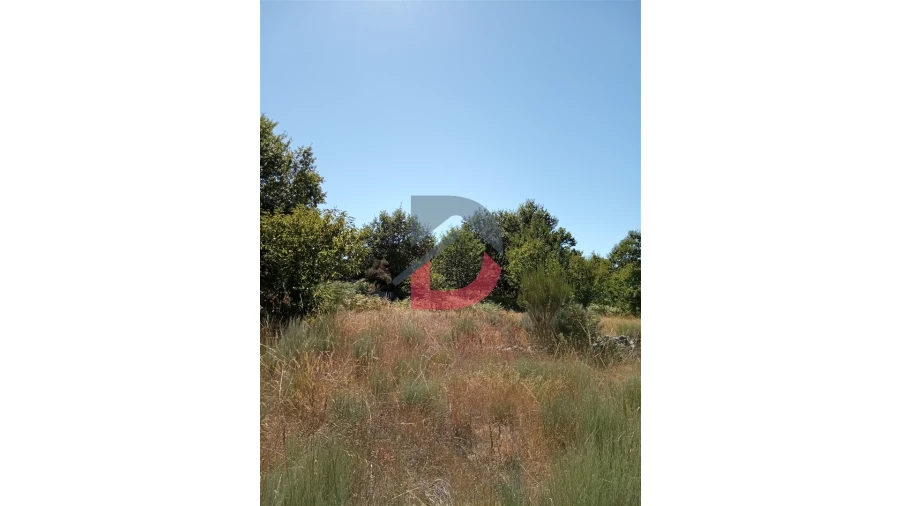 Terreno para Venda em Ferreira de Aves Foto 15