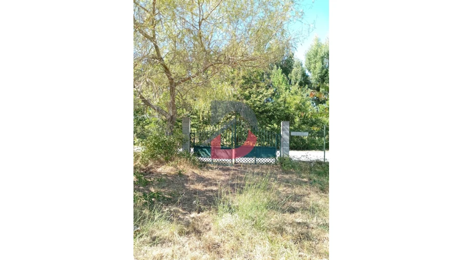 Terreno para Venda em Ferreira de Aves