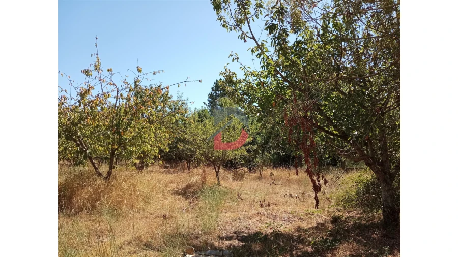 Terreno para Venda em Ferreira de Aves Foto 4