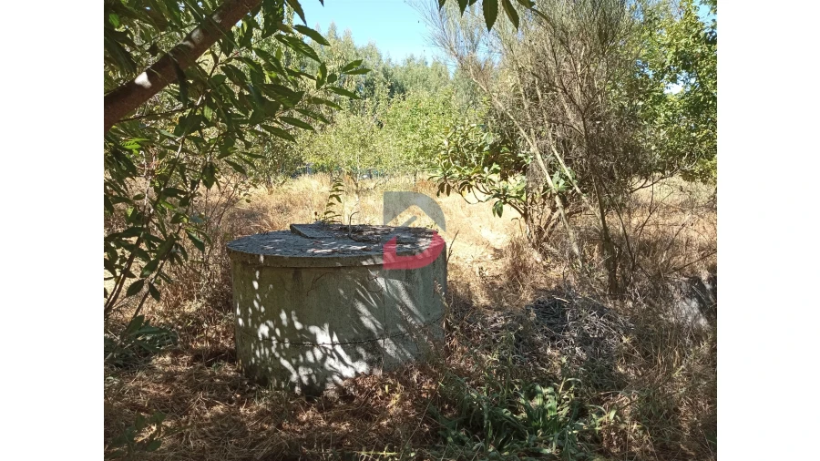 Terreno para Venda em Ferreira de Aves Foto 10
