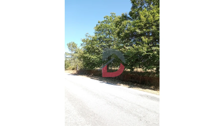 Terreno para Venda em Ferreira de Aves Foto 2