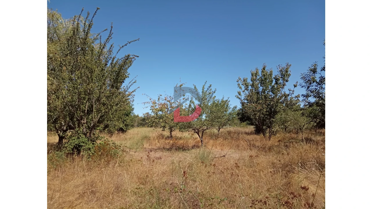 Terreno para Venda em Ferreira de Aves Foto 7