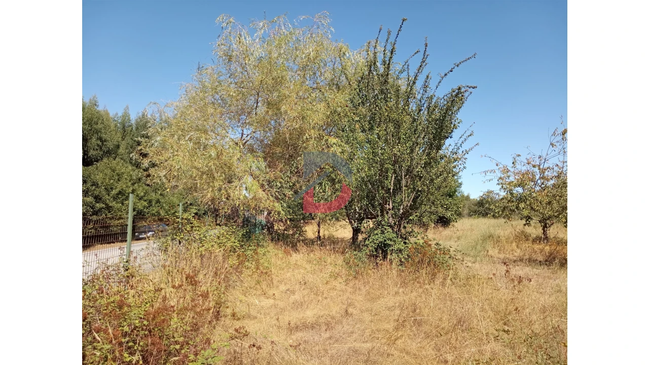 Terreno para Venda em Ferreira de Aves Foto 8