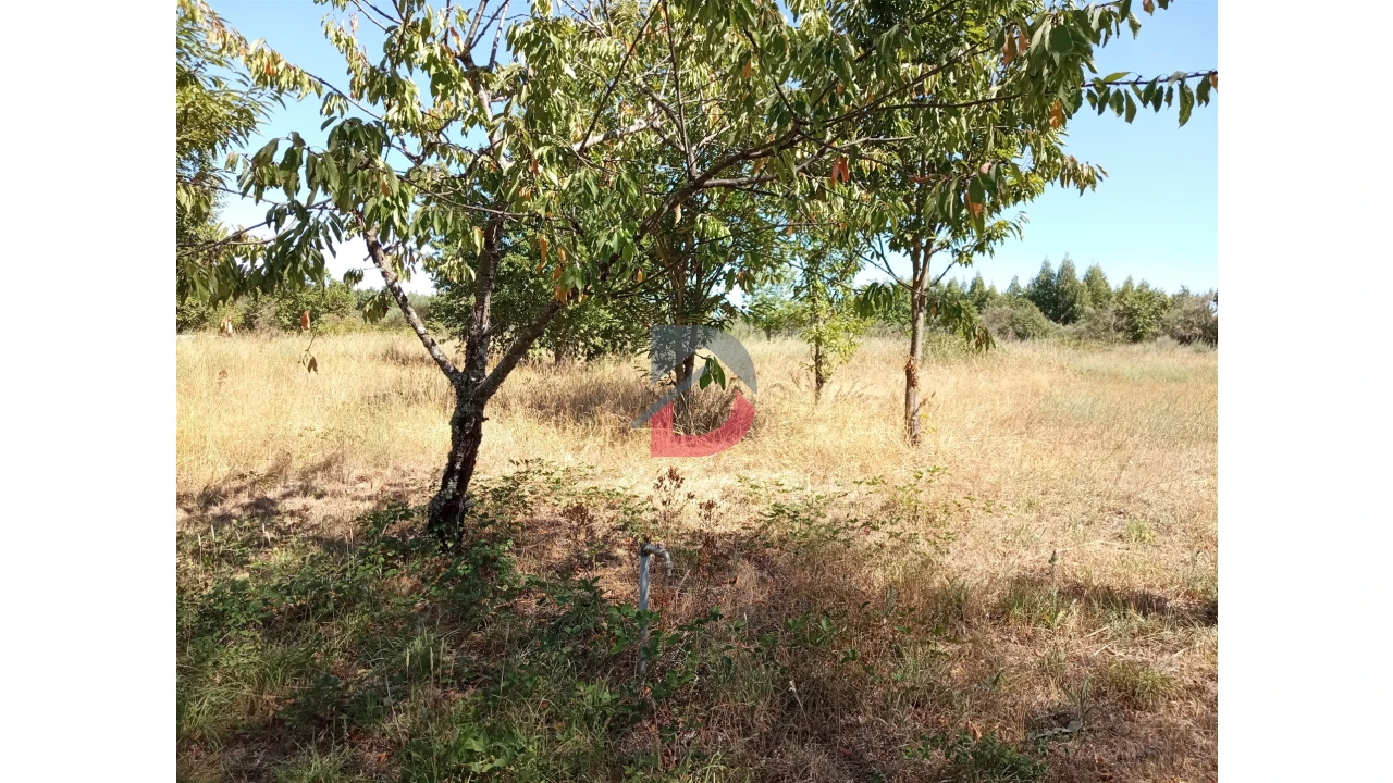 Terreno para Venda em Ferreira de Aves Foto 3