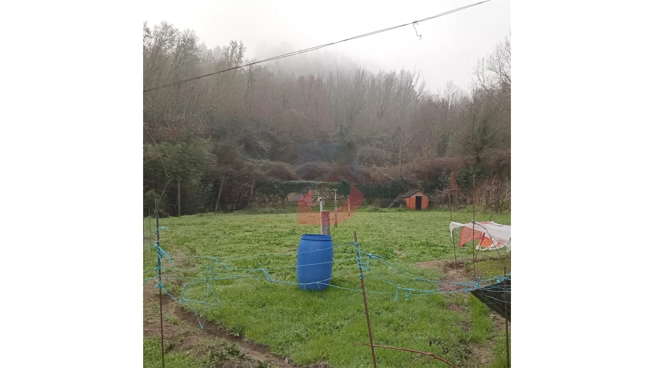 Terreno para Venda em Cinfães Foto 11
