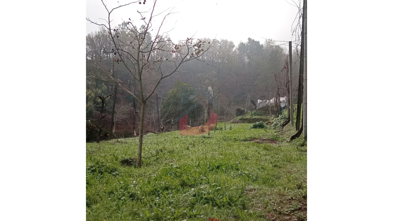 Terreno para Venda em Cinfães Foto 9