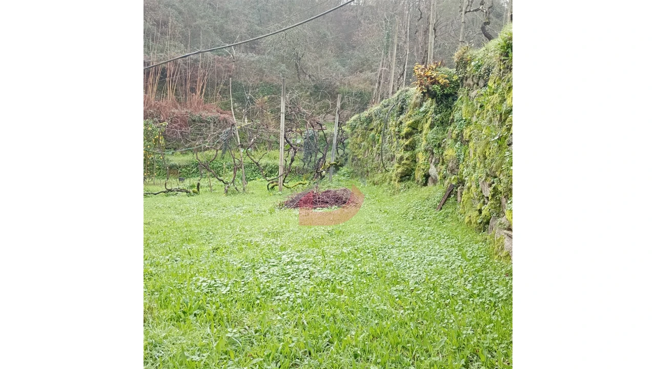 Terreno para Venda em Cinfães Foto 5