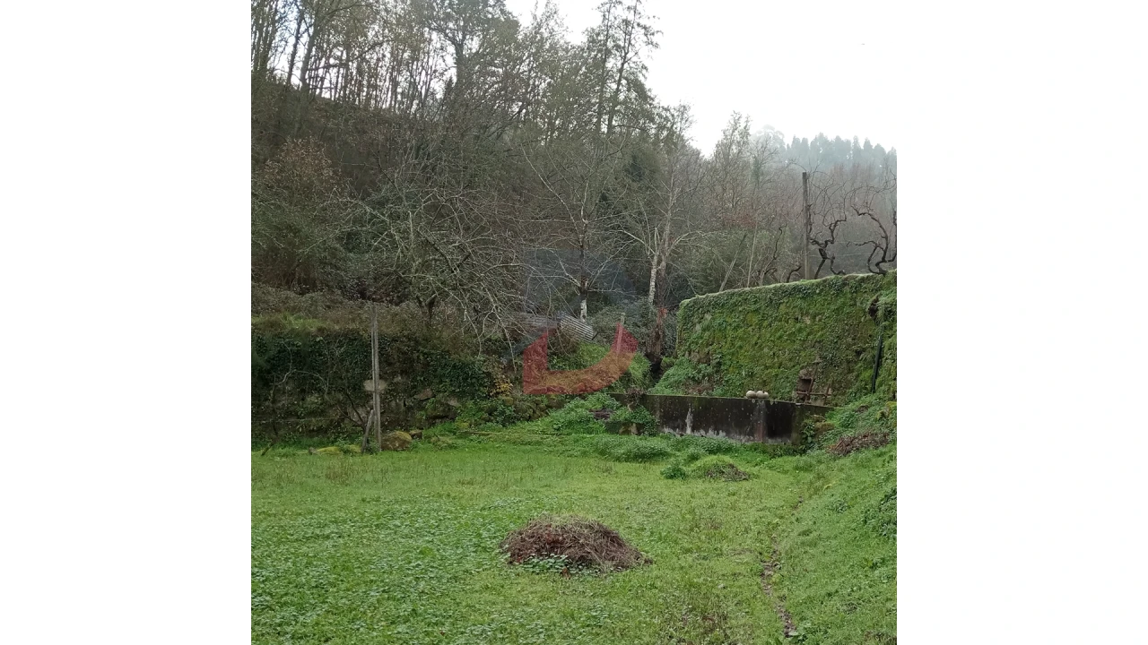 Terreno para Venda em Cinfães Foto 21