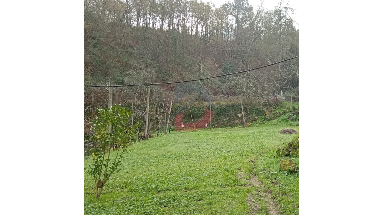 Terreno para Venda em Cinfães Foto 22