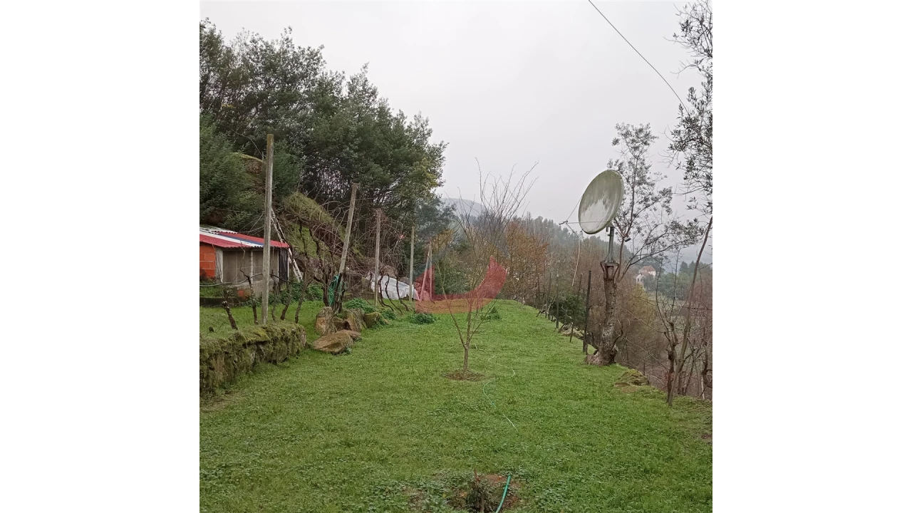 Terreno para Venda em Cinfães Foto 18