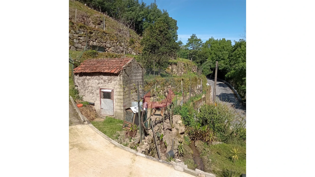Terreno para Venda em Cinfães Foto 1