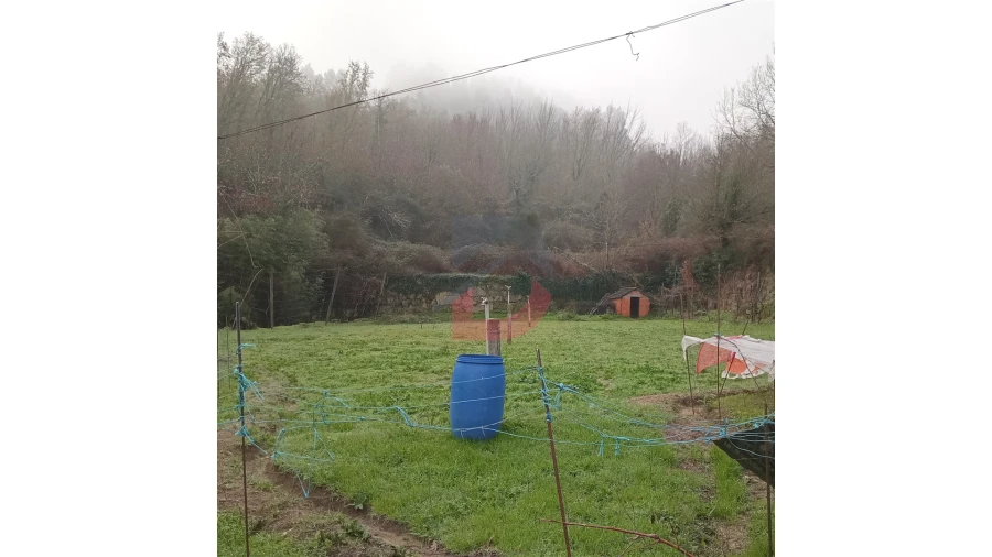 Terreno para Venda em Cinfães Foto 11